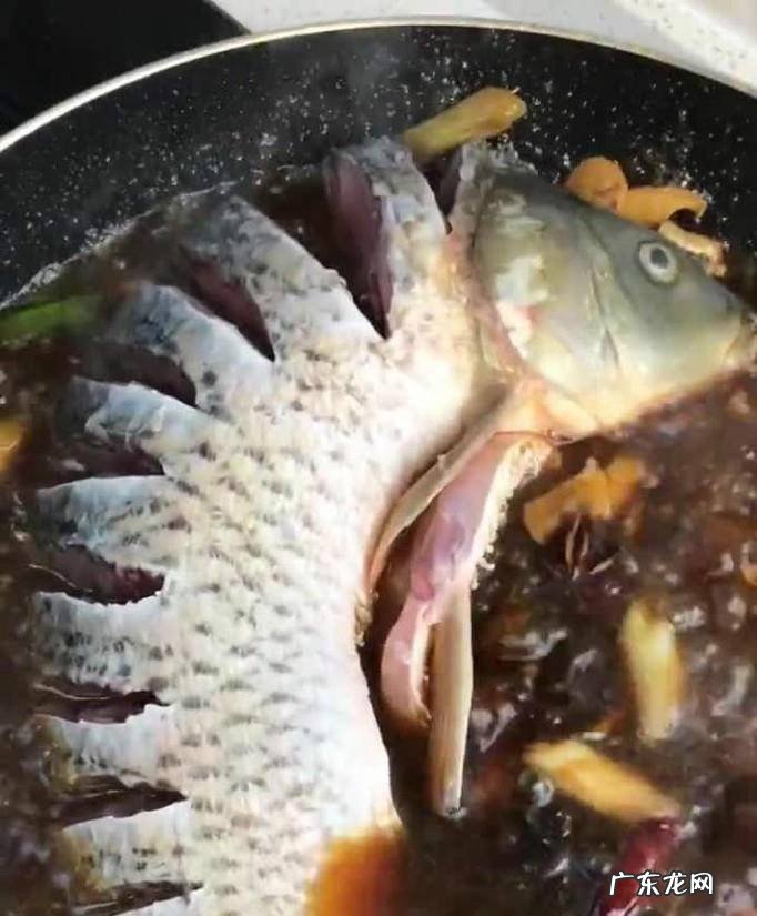 如何做红烧鲤鱼