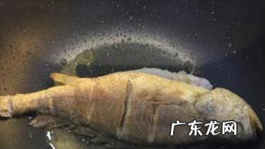 西红柿炖黄鱼的制作方法