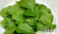 怎样做木耳菜：蒜蓉拌木耳菜