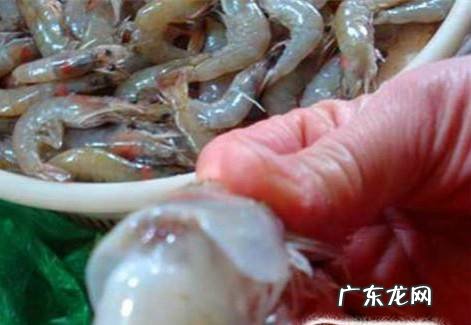 活虾怎么处理会比较干净