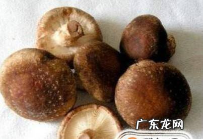 食用香菇前应该怎样处理