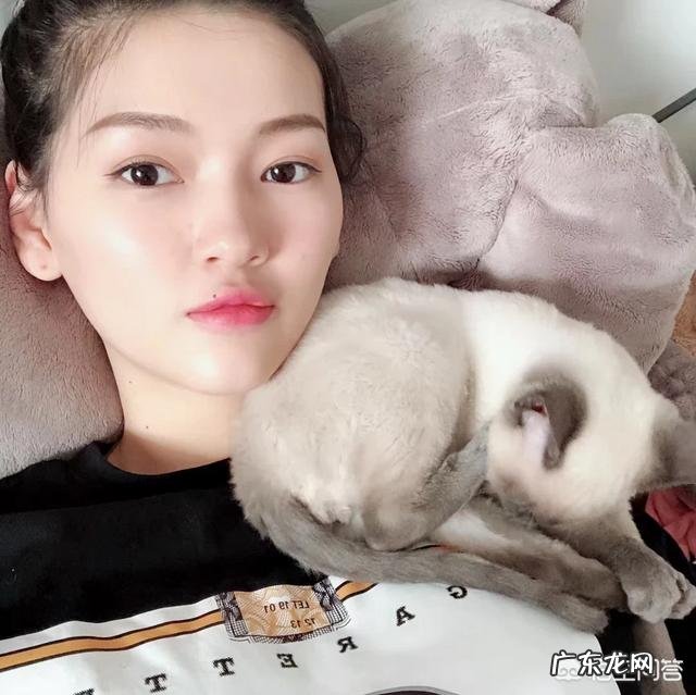 猫咪性格太好是什么原因 怎么能看出猫咪的性格好坏