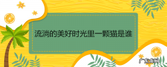 流淌的美好时光里一颗猫是谁