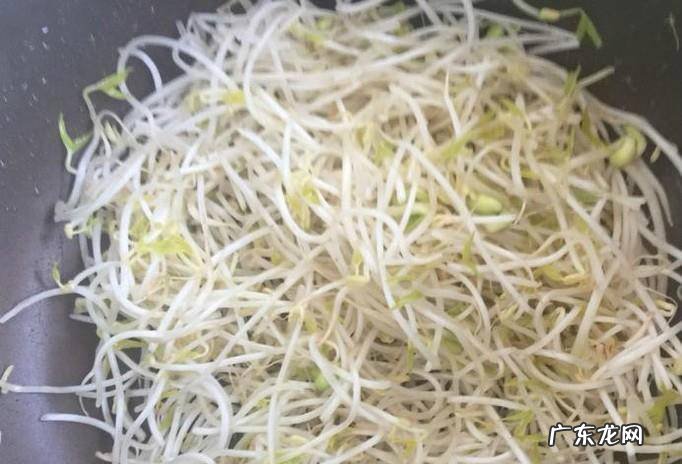 如何做豆芽炒肉好吃