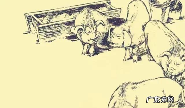 动物感恩人类的故事 大家听过或经历过最感人的动物报恩的故事是什么