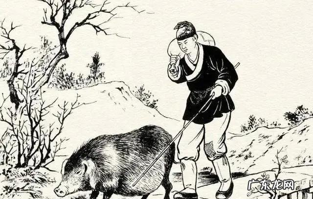 动物感恩人类的故事 大家听过或经历过最感人的动物报恩的故事是什么