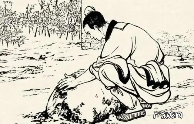 动物感恩人类的故事 大家听过或经历过最感人的动物报恩的故事是什么