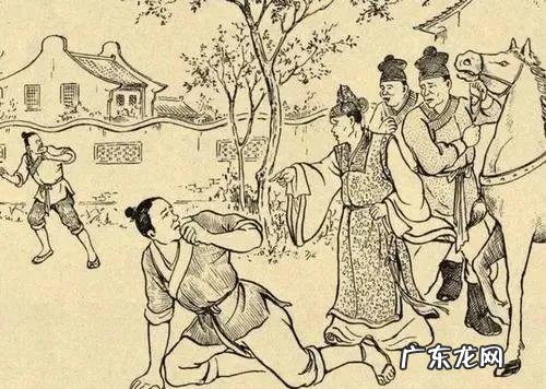 动物感恩人类的故事 大家听过或经历过最感人的动物报恩的故事是什么