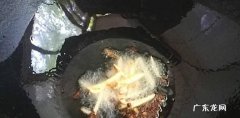 怎么做猪肝爆炒洋葱营养又好吃