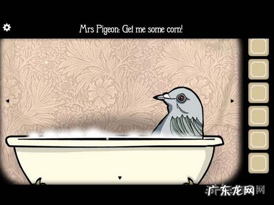 锈湖旅馆鸽子夫人虫子,这虫子太恶心了!