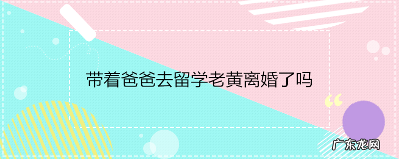 带着爸爸去留学老黄离婚了吗
