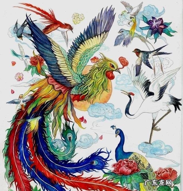 美国国鸟是鹰，日本国鸟是绿雉，印度国鸟是孔雀，那中国国鸟是啥