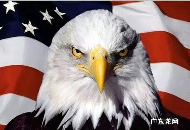 美国国鸟是鹰,日本国鸟是绿雉,印度国鸟是孔雀,那中国国鸟是啥