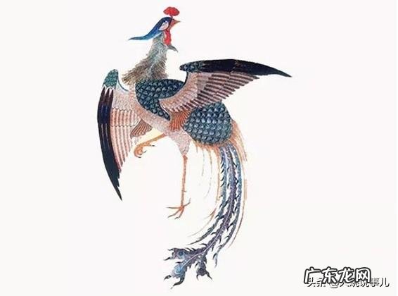 美国国鸟是鹰,日本国鸟是绿雉,印度国鸟是孔雀,那中国国鸟是啥