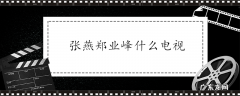 张燕郑业峰什么电视