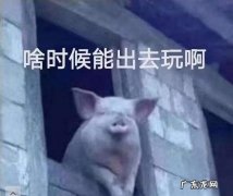 什么时候出去玩：什么时候出去玩,你最喜欢什么时候出去？