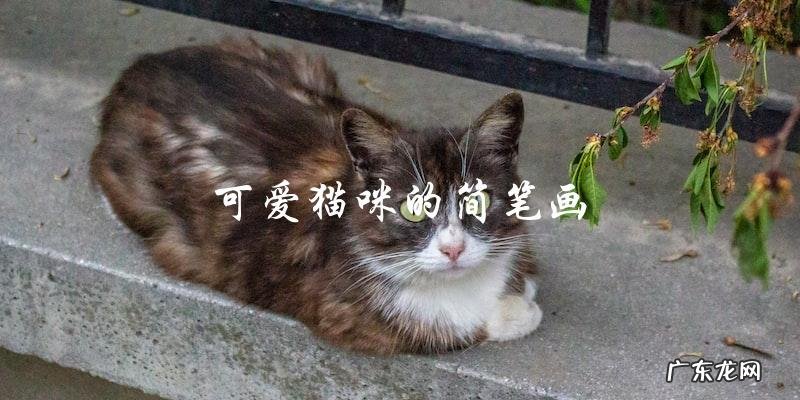 你会如何画出可爱猫咪的简笔画？