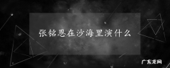 张铭恩在沙海里演什么