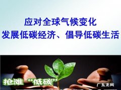 低碳经济的核心要素是什么？