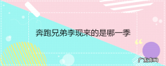 奔跑兄弟李现来的是哪一季