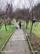 和爸爸妈妈一起散步的感受？看看他们怎么说!