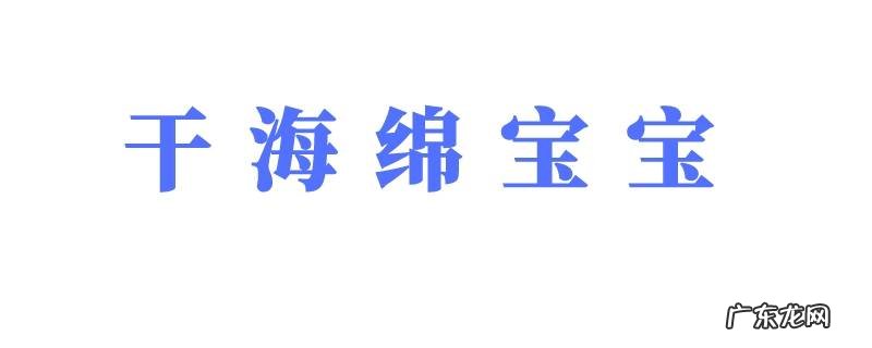 干海绵宝宝是什么意思