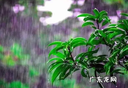 春节还会有冷空气吗 2022清明节前后会有冷空气吗