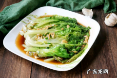 蚝油生菜用的是什么生菜 蚝油生菜是圆生菜还是叶生菜