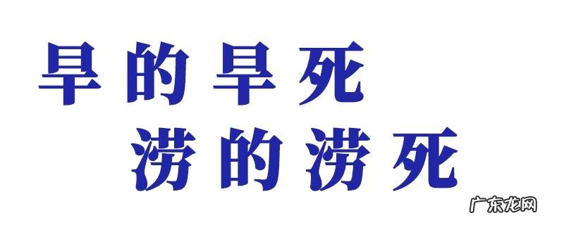 handhandsloudlouds是什么意思