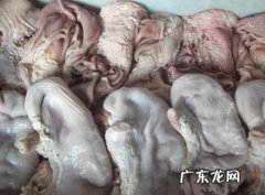 猪肚是什么