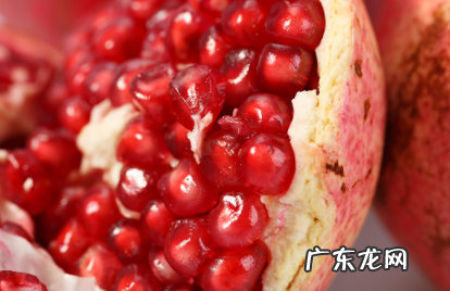 石榴是热性还是凉性水果 石榴是热性还是凉性
