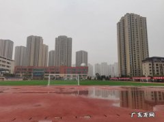 龙湖西苑读哪个中学
