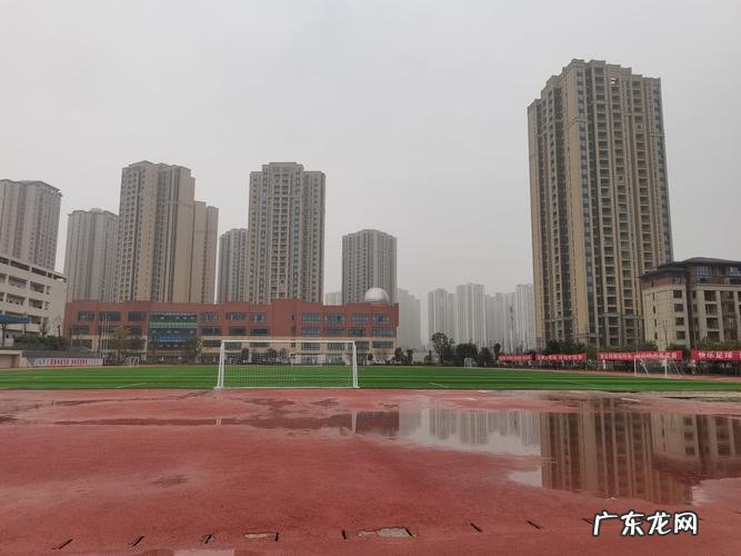 龙湖西苑读哪个中学
