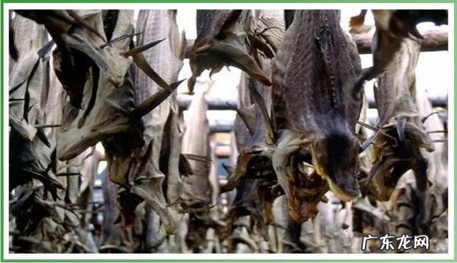 世界排名最臭的食物 世界上十大最臭的食物是什么