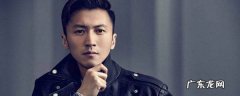 谢霆锋在哪些电影中饰演警察