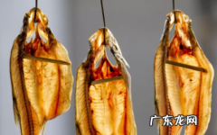 夏天怎么晒鱼干不会坏 夏天做风干鱼会不会坏