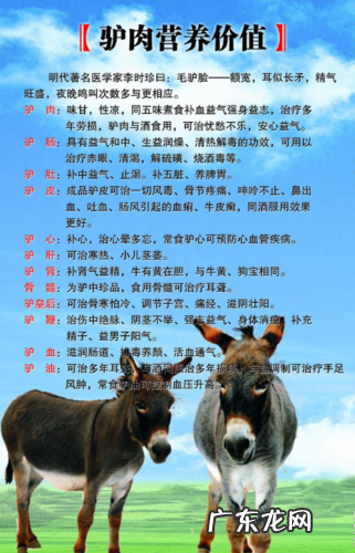 骡肉有什么营养和功效