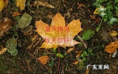 七月份是夏天还是秋天