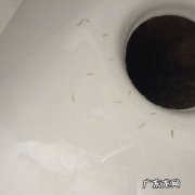 大便白色有蠕动小虫子,严重吗？是什么原因呢？