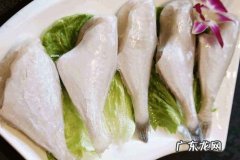 耗儿鱼是海鱼还是淡水鱼