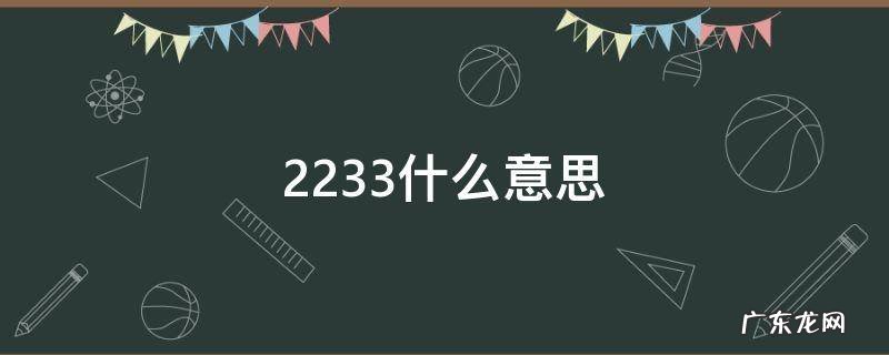 2233什么意思