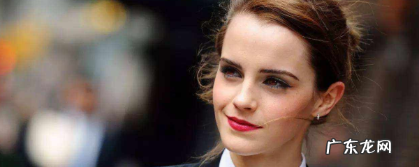 演哈利波特的女主角叫什么名字