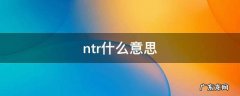 ntr什么意思