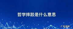 哲学摔跤是什么意思