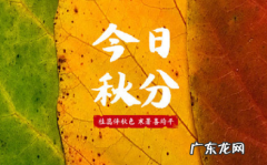 2018年秋分时节,我们迎来了首个中国农民丰收节 每年秋分为农民丰收节