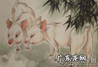 做人非常有境界的生肖,他们非常聪明,做事有分寸!