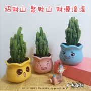 仙人掌防辐射吗