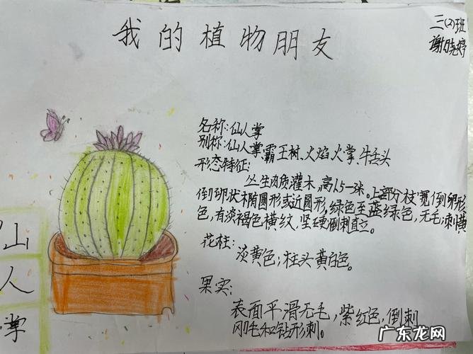 仙人掌记录卡怎么写