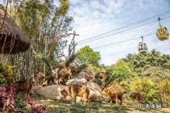 长隆野生动物园自驾游攻略,长隆野生动物园自驾游路线推荐