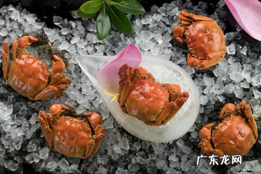提蟹卡 怎么用 蟹卡自提好还是网络提好